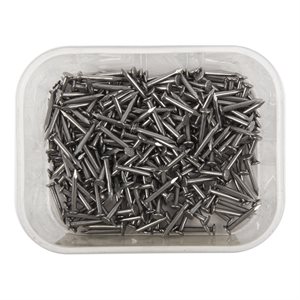 Common Nail 1in 1lbs (400g) / pk