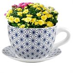 Tea Cup Planter & Saucer Blue Stars 9in (23cm)