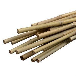 Bamboo Garden Stake 60in