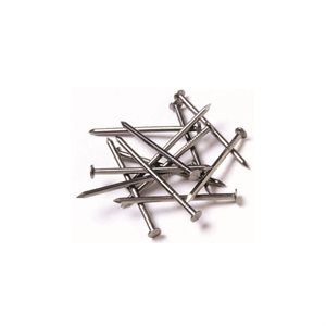 Wire Nail 5 / 8in x 19ga 1.75oz Pack
