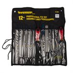 12PC Ensemble Professionnel De Limes De 10po