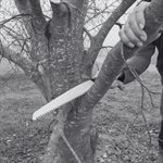 Pruning Saw Folding Design 7-1 / 2" Blade