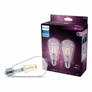 2PQ Ampoules DEL Transparentes Décoratives ST19 4.4W=40W E26 800lm Lumière Du Jour