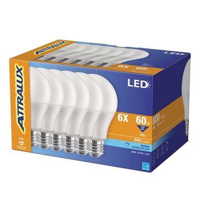 6PK Ampoule LED A19 Dimmable à Base E26 10W Lumière du Jour