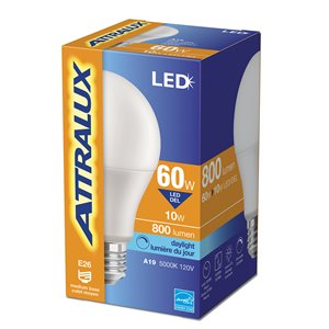 Ampoule LED A19 Dimmable à Base E26 10W Lumière du Jour