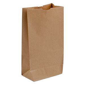 500PK Brown Paper Shopping Bags 8lb