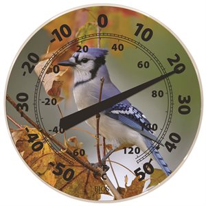Outdoor Dial Thermometer Blue Jay 12in