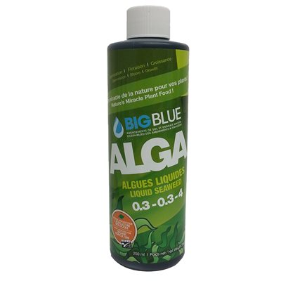 blue planet liquid seaweed review