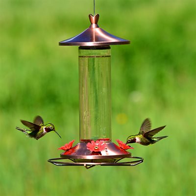 Hummingbird Feeder Glass & Copper 12oz