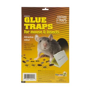 Mouse and Insect Glue Traps Foldable 3pk