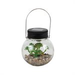 Solar Round Glass Succulent Jar Assorted Styles