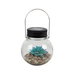 Solar Round Glass Succulent Jar Assorted Styles