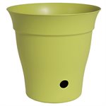 Contempra Pot With Inside Saucer Bamboo Green 8in