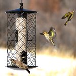 Wild Bird Feeder Tube with Squirrel Barrier Holds up to 3Lb of Seeds