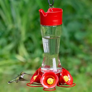 Hummingbird Feeder Glass Pinch Waist Wide Mouth 16oz