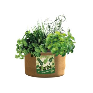 Burlap Grow Bag for Herbs 5-gallon 13inWx10inLx7inH Natural