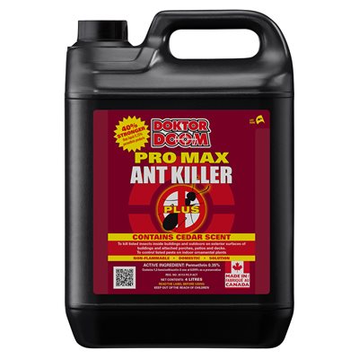 L'INSECTICIDE PRO MAX TUER LES FOURMIS RTS 4L