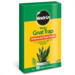 10PK Sticky Gnat Trap