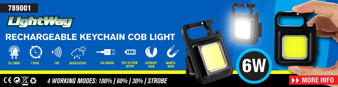 KEYCHAIN RECHARGEABLE COB LIGHT 6W